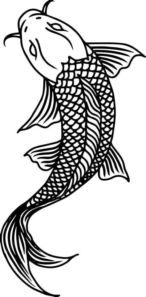 koi fish outline|Koi Fish Outline Images .